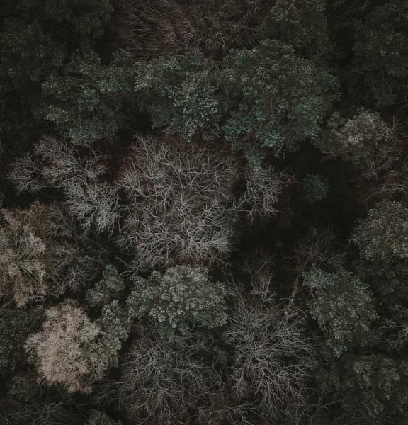 pic
